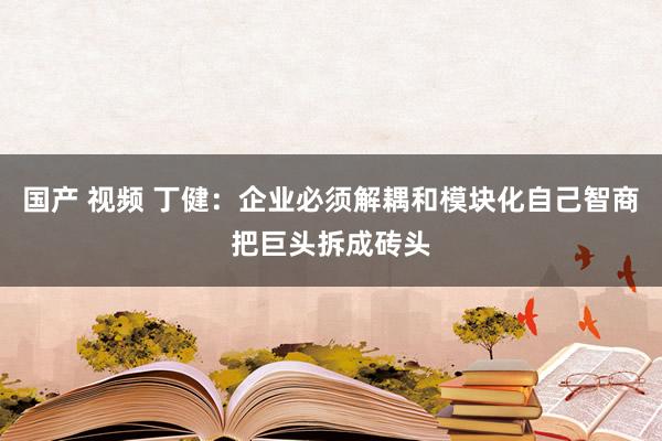 国产 视频 丁健：企业必须解耦和模块化自己智商把巨头拆成砖头