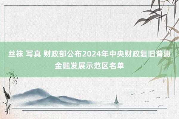 丝袜 写真 财政部公布2024年中央财政复旧普惠金融发展示范区名单