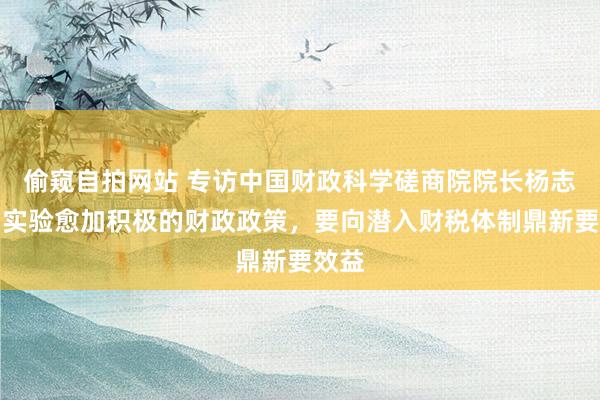 偷窥自拍网站 专访中国财政科学磋商院院长杨志勇：实验愈加积极的财政政策，要向潜入财税体制鼎新要效益
