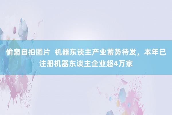 偷窥自拍图片  机器东谈主产业蓄势待发，本年已注册机器东谈主企业超4万家